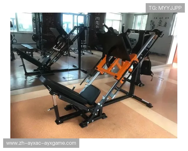 高校健身器材配置标准与选购建议 高校健身器材配置标准与选购建议