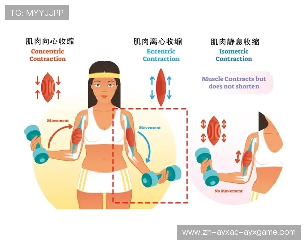 高效训练:如何通过每周短时间的高强度锻炼达到最佳效果 高效训练:如何通过每周短时间的高强度锻炼达到最佳效果