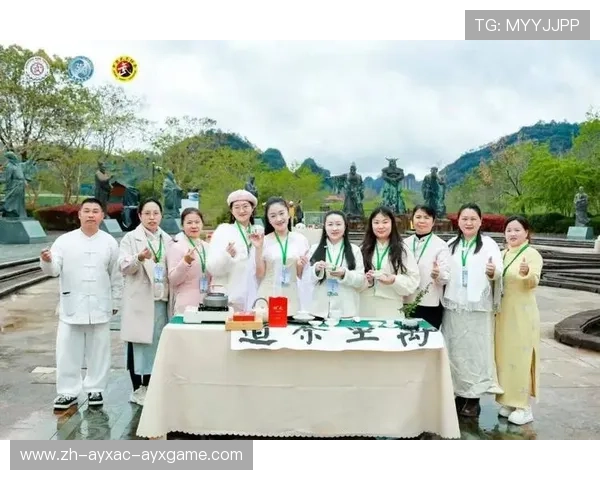 太极拳文化绽放武夷山首个国际太极拳日展演引关注